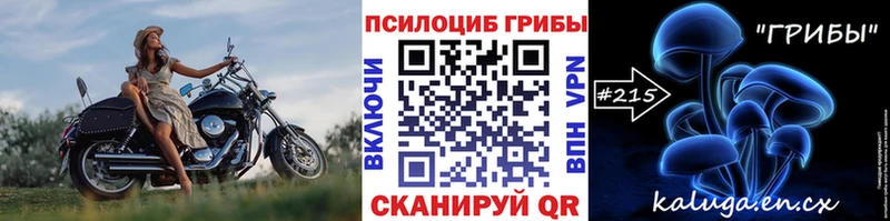 omg ONION  закладка  Корсаков  Галлюциногенные грибы мухоморы 